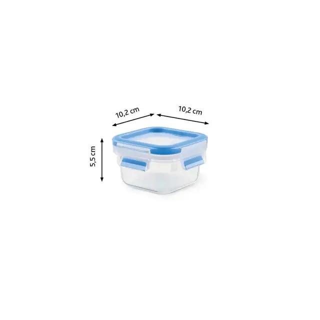 Emsa Clip & Close Frischhaltedosen 4-teiliges Set 0,2L N10337