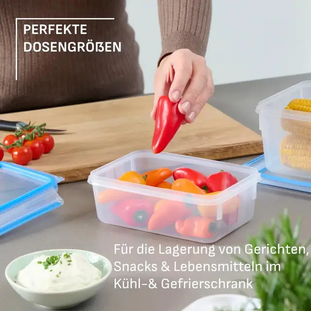 Emsa Clip & Close Frischhaltedosen 4-teiliges Set 0,2L N10337