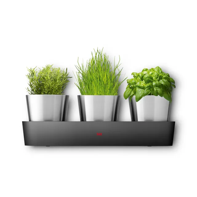 Silit Collexio Indoor Kräutergarten, 3-teilig